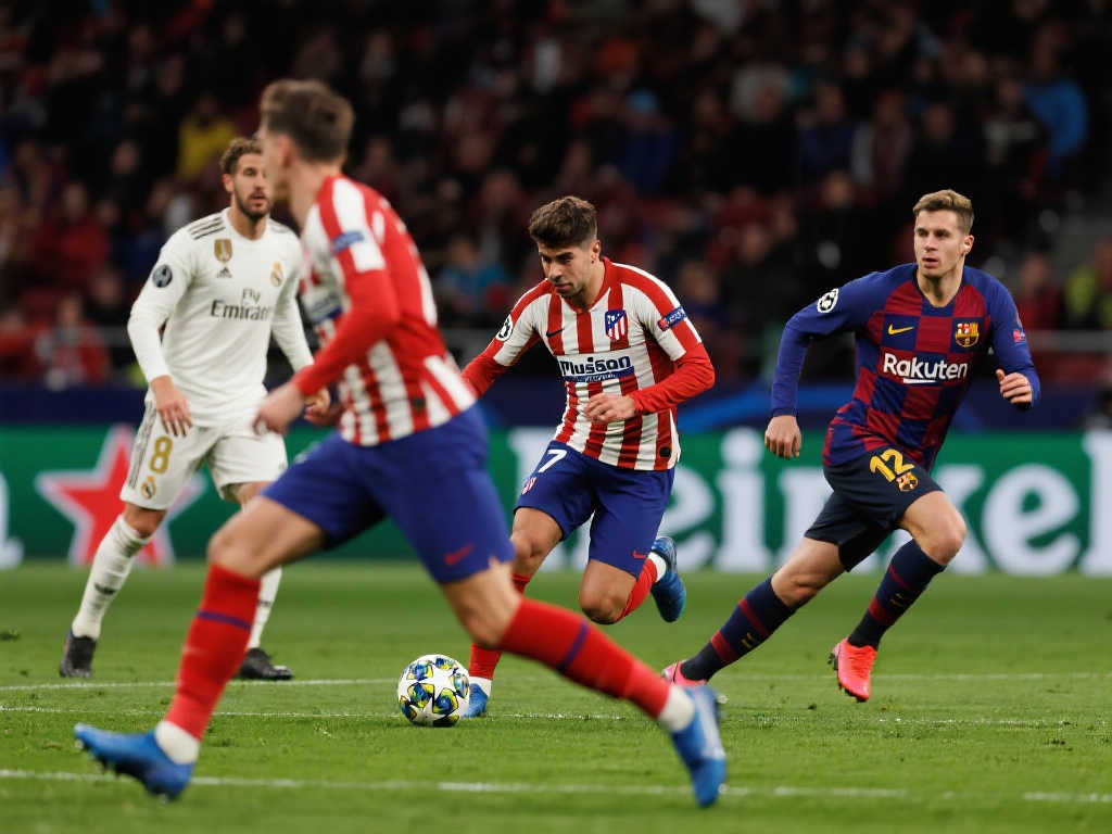 他职业生涯 他职业生涯