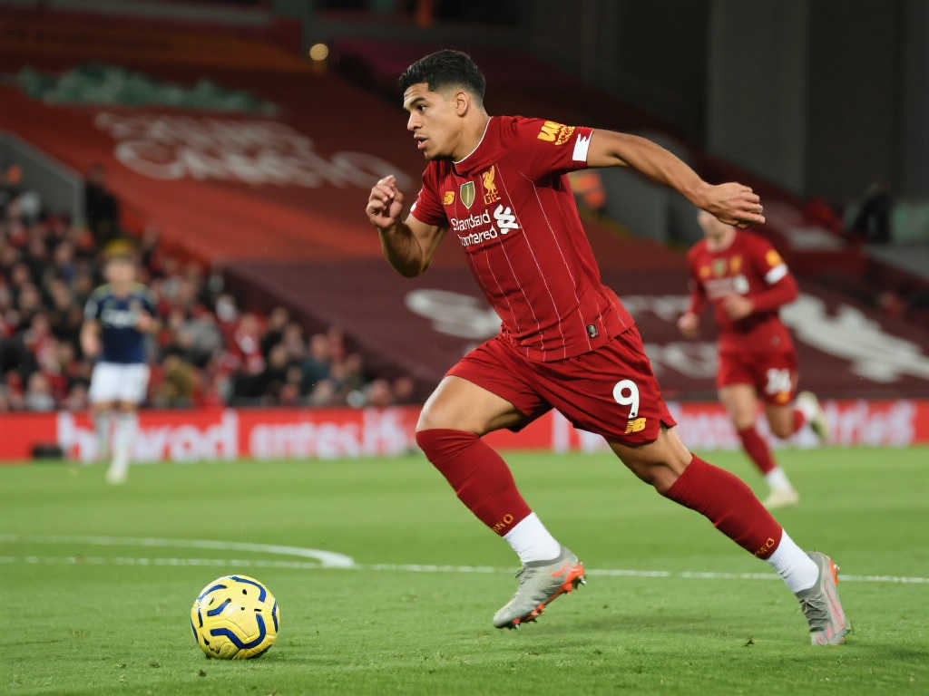 图拉姆的心 图拉姆的心