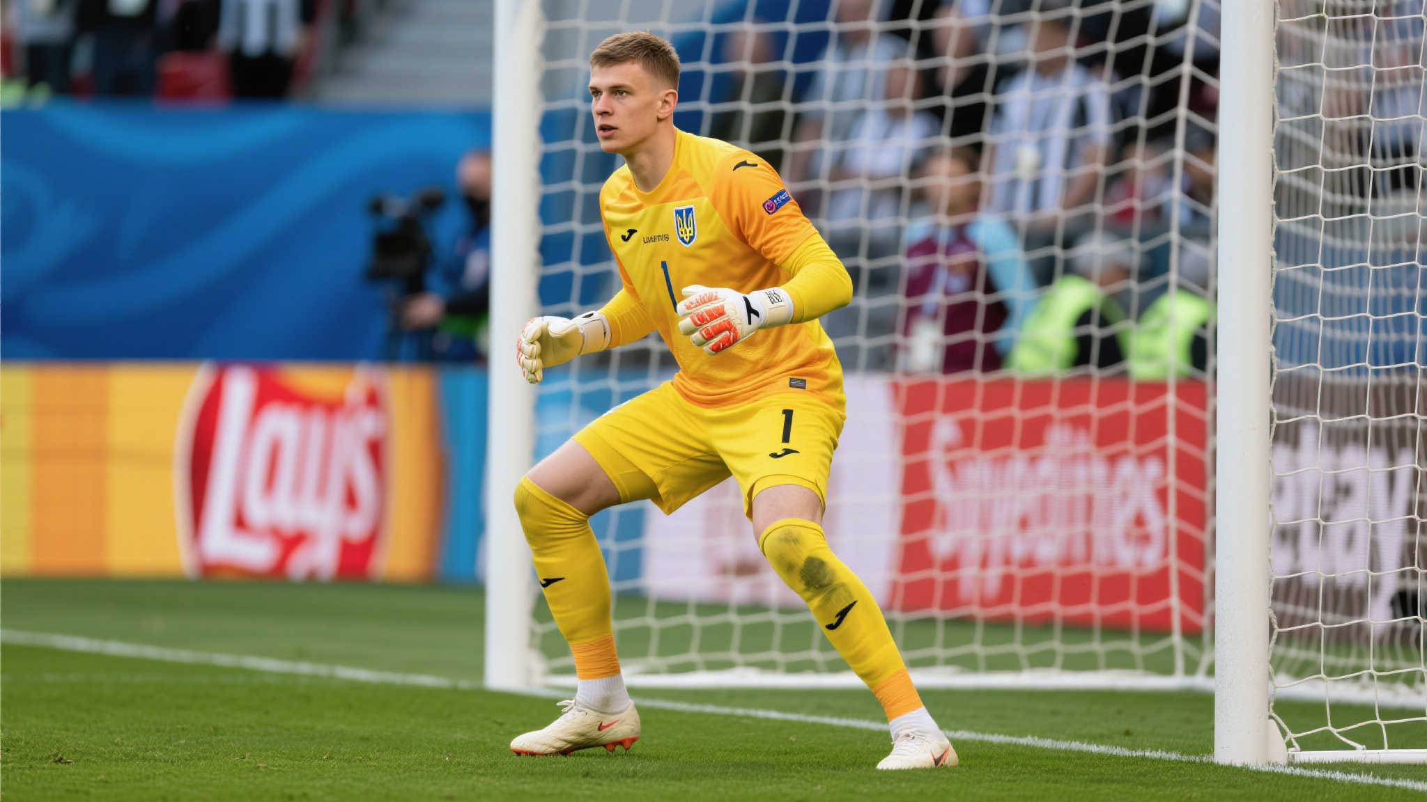 而其他理事 而其他理事